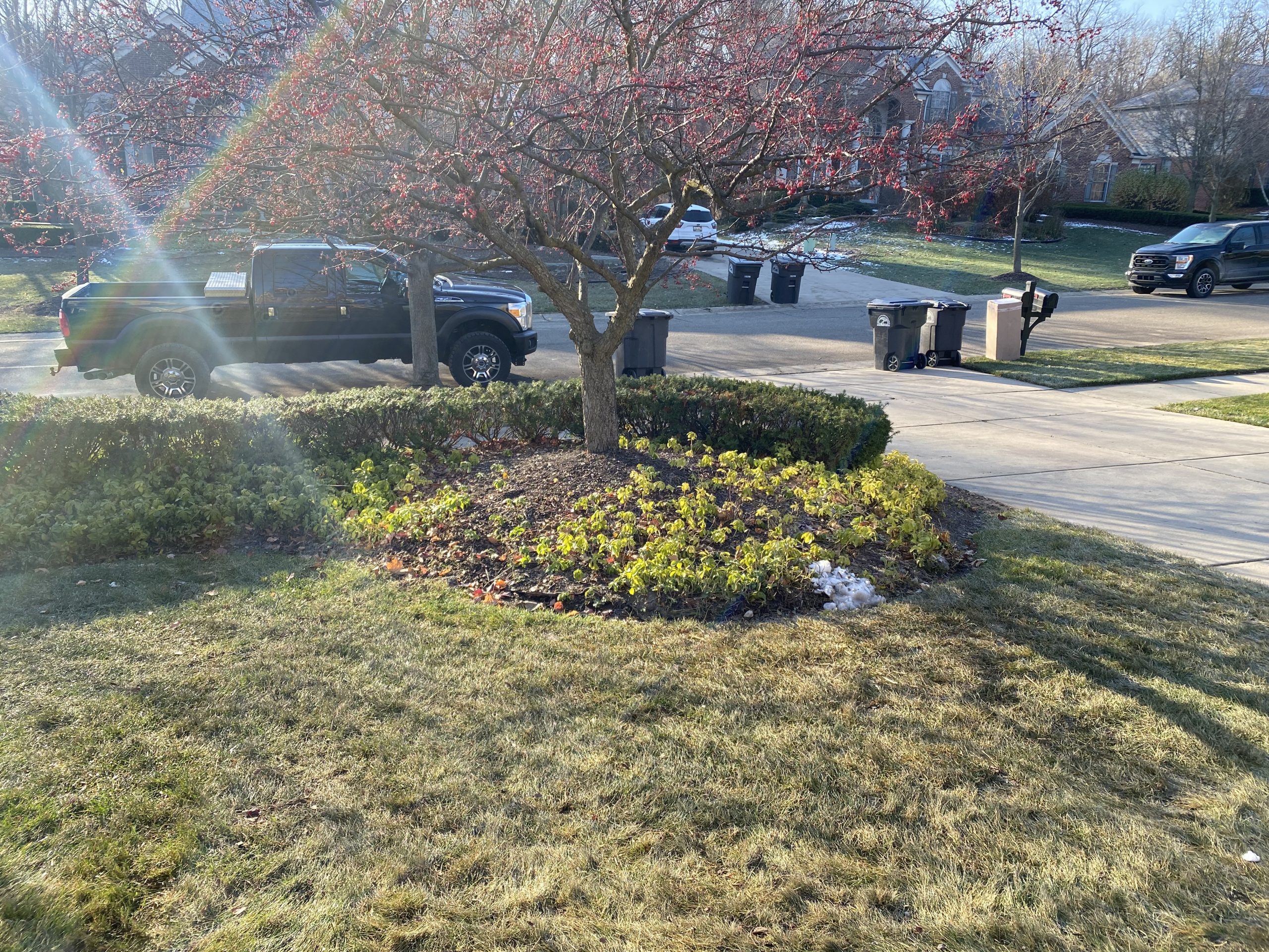 northville front yard renovation