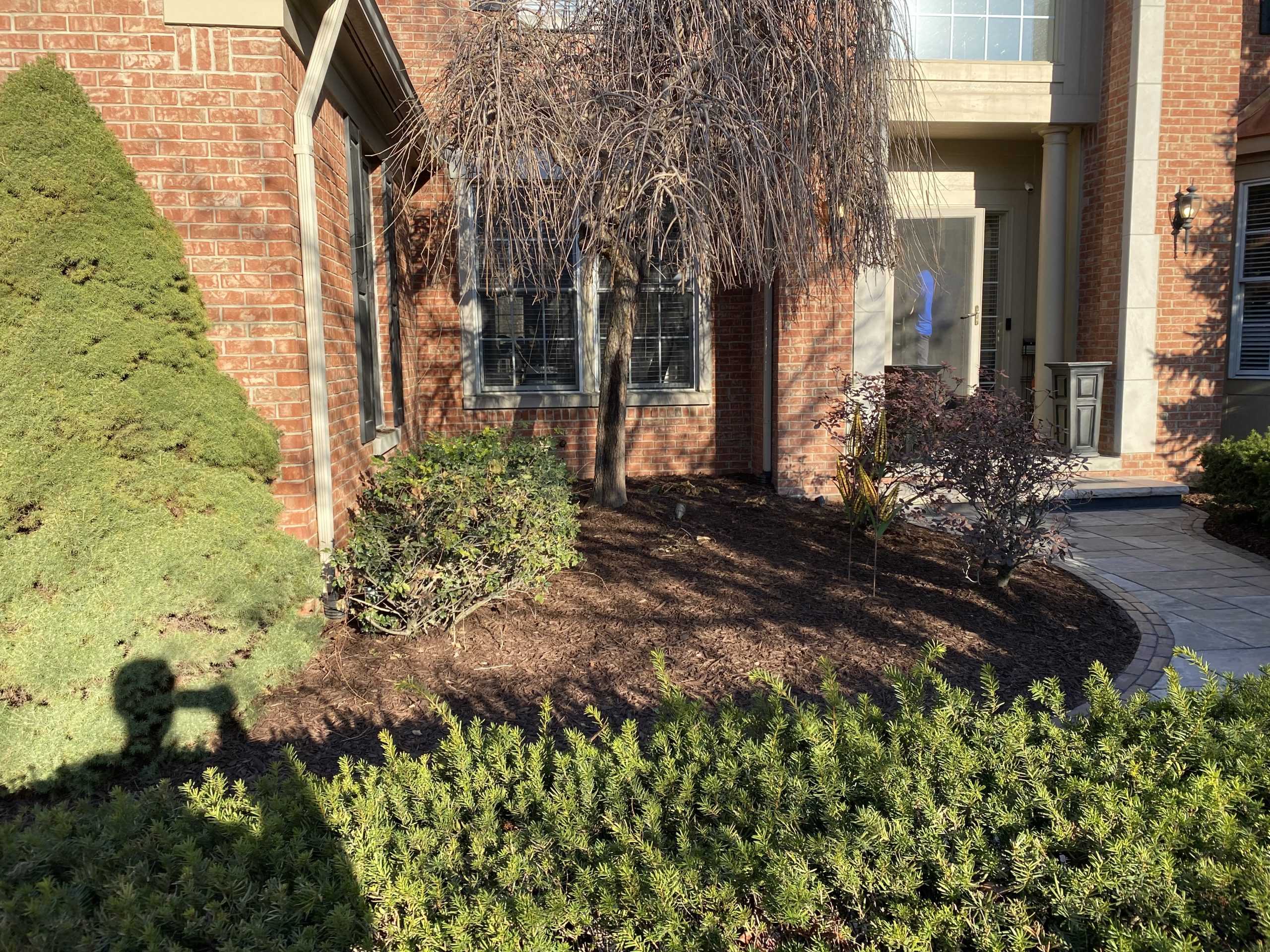 northville front yard renovation