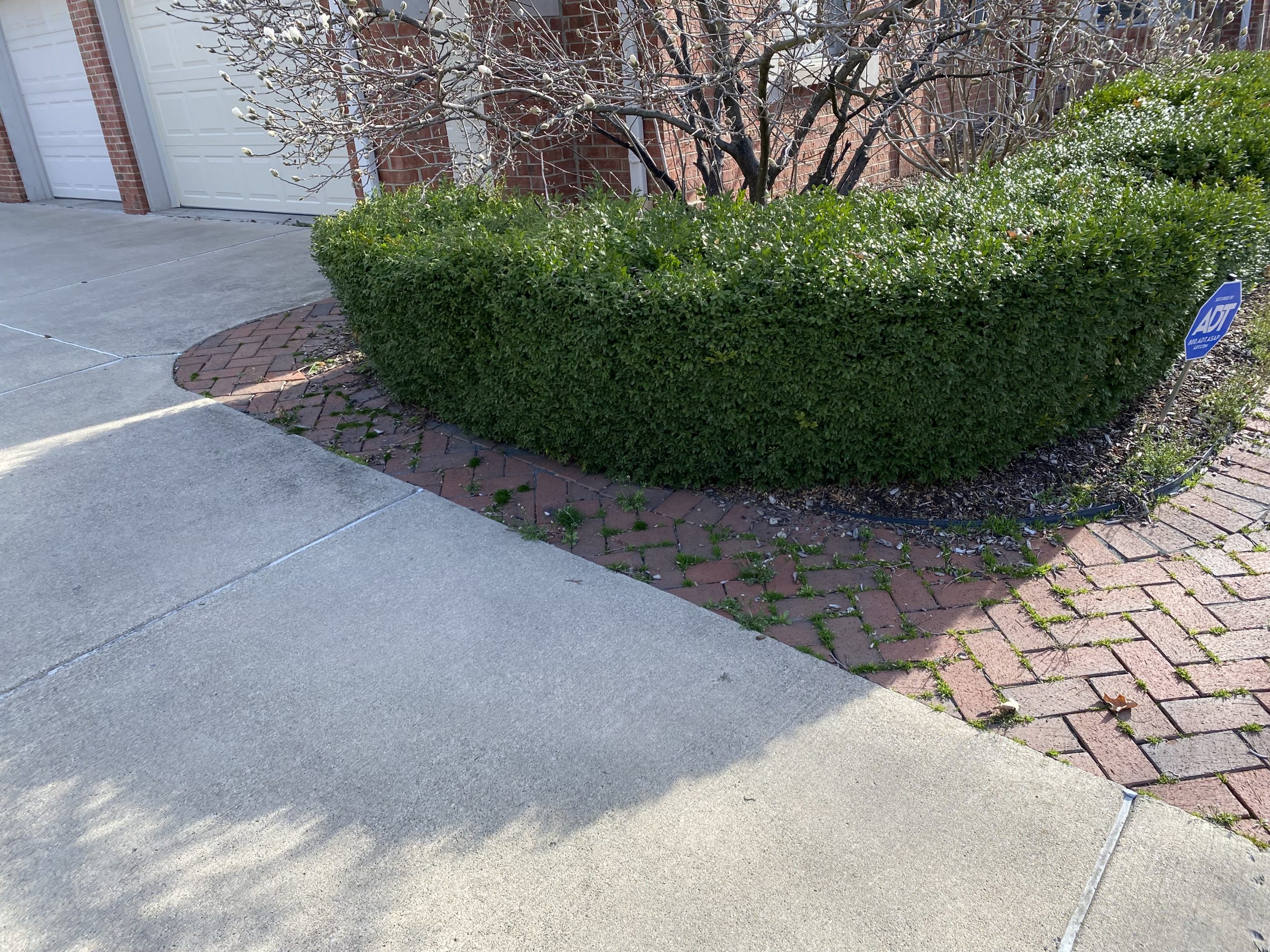 northville front yard walkway