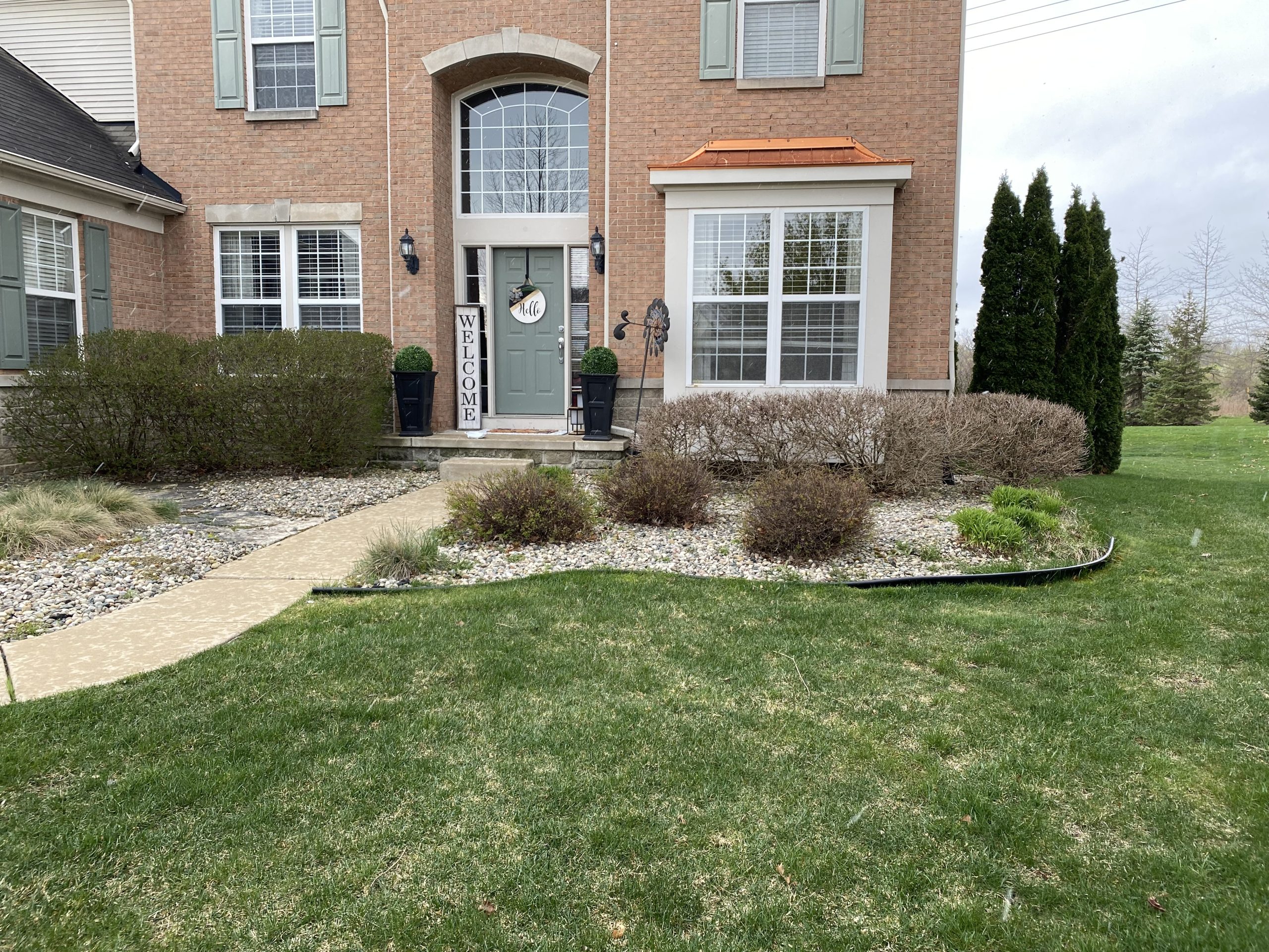 south lyon front yard