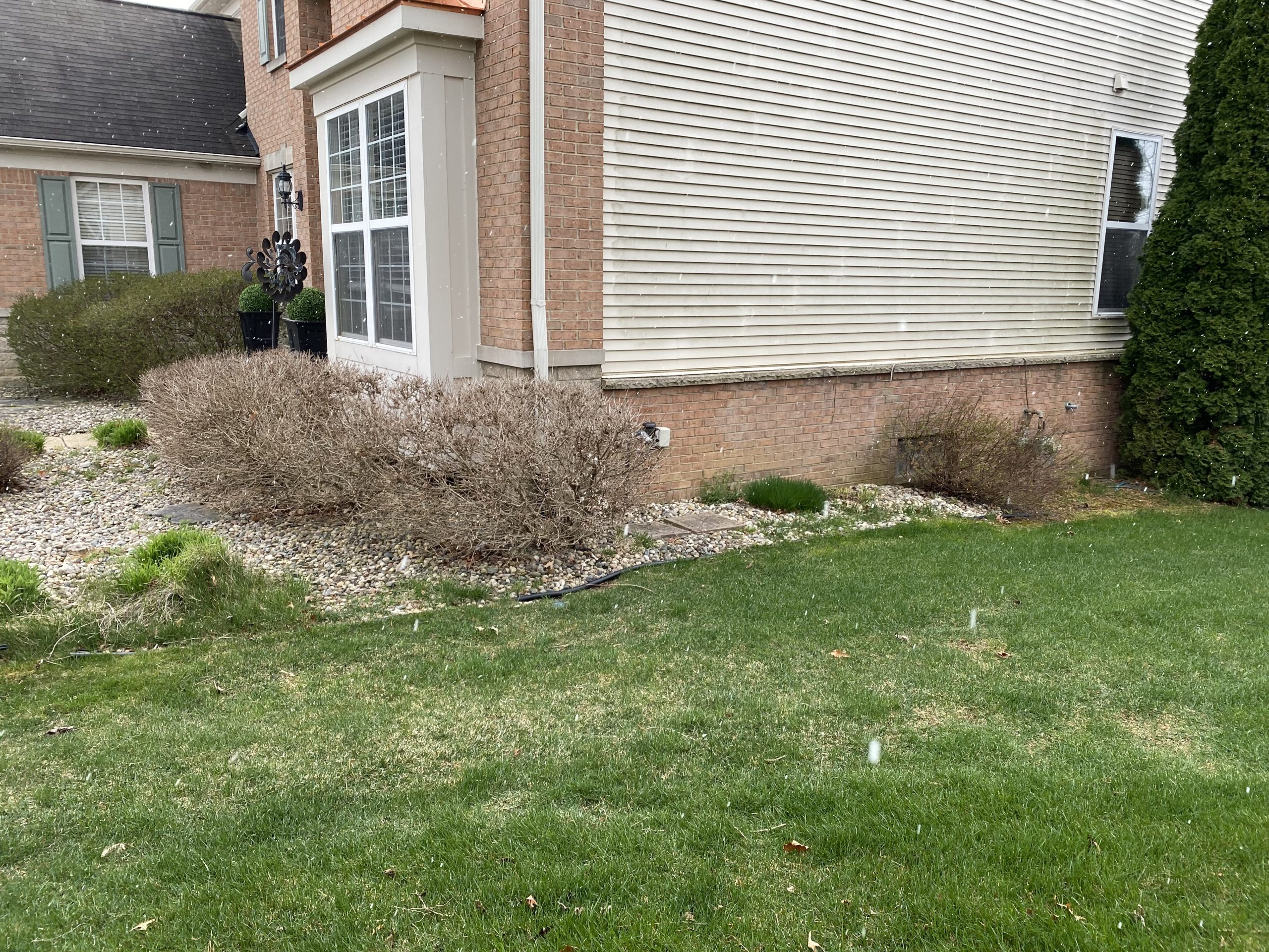 south lyon front yard