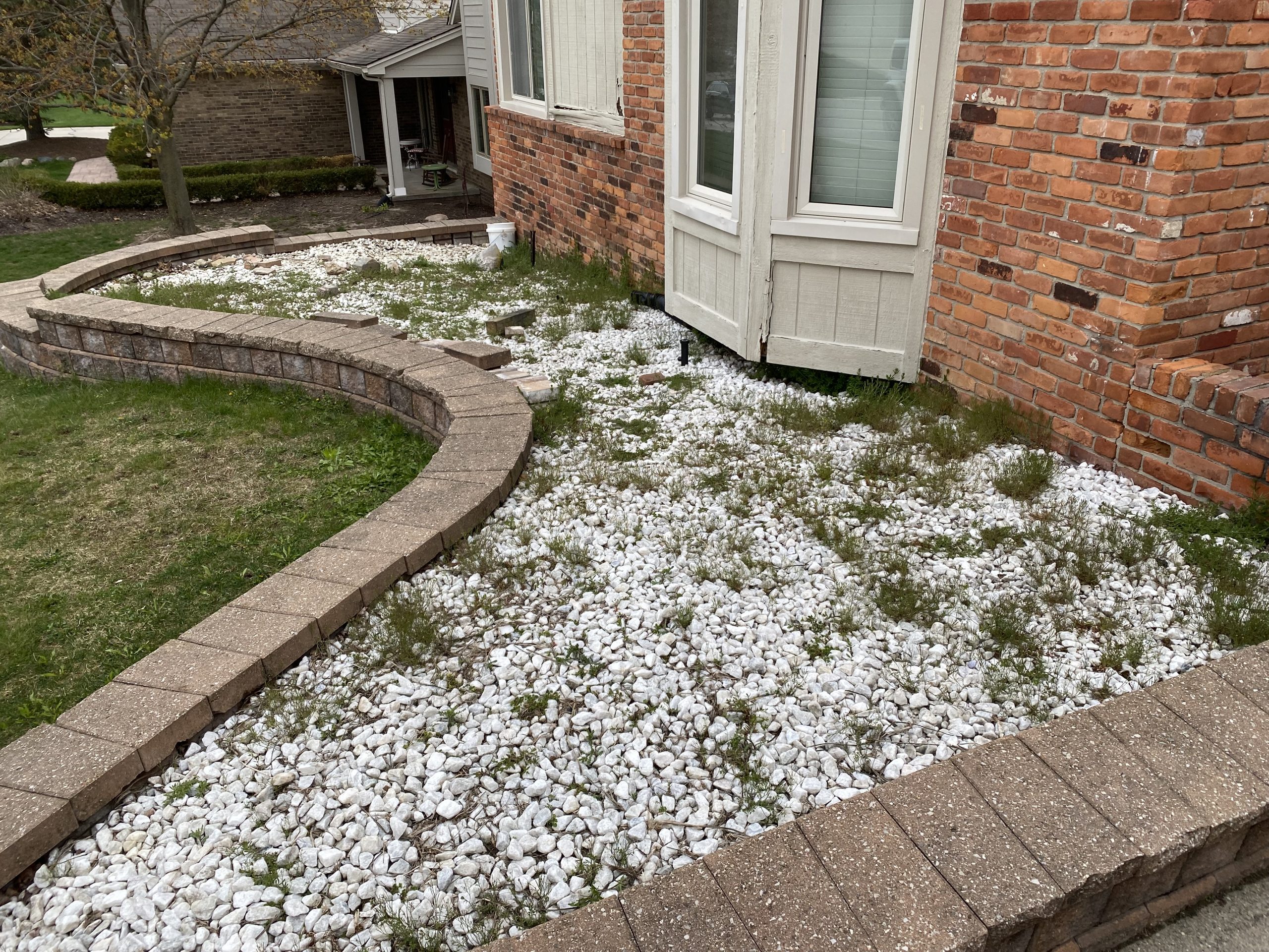 northville front yard