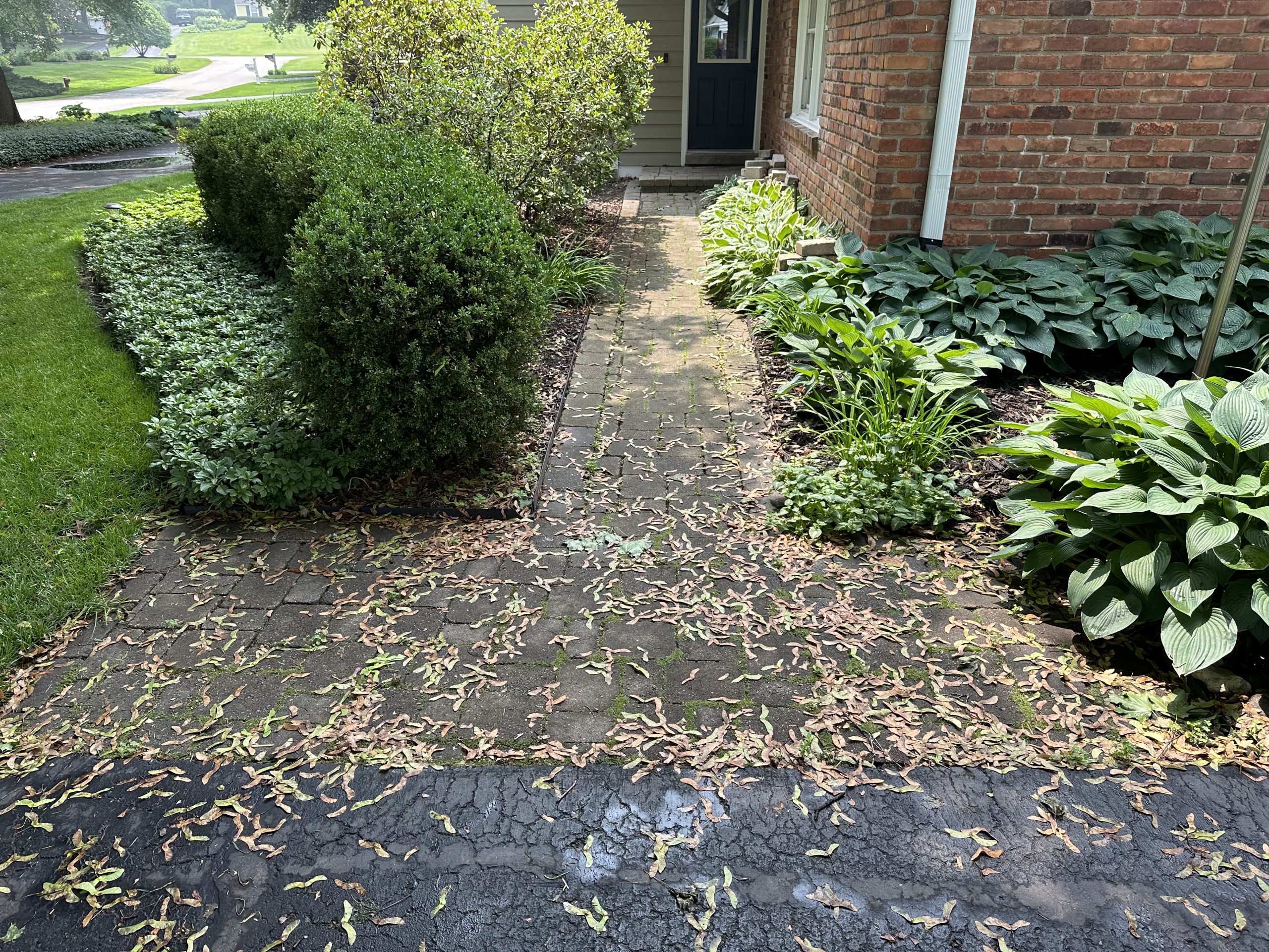 northville front walkway